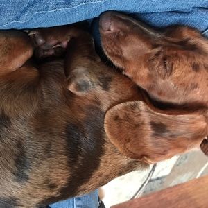 Meet your Posher, Kristen